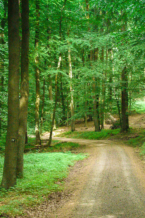 images/bilderleisten/heidenhaeuschen/hei-15.jpg#joomlaImage://local-images/bilderleisten/heidenhaeuschen/hei-15.jpg?width=465&height=700