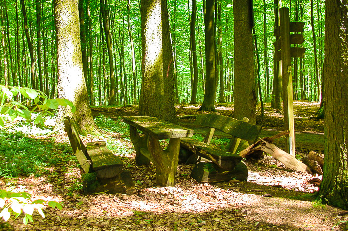 images/bilderleisten/heidenhaeuschen/hei-25.jpg#joomlaImage://local-images/bilderleisten/heidenhaeuschen/hei-25.jpg?width=700&height=465