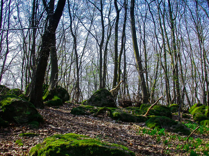 images/bilderleisten/heidenhaeuschen/hei-3.jpg#joomlaImage://local-images/bilderleisten/heidenhaeuschen/hei-3.jpg?width=700&height=525