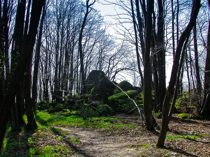 images/bilderleisten/heidenhaeuschen/hei-4.jpg#joomlaImage://local-images/bilderleisten/heidenhaeuschen/hei-4.jpg?width=700&height=525