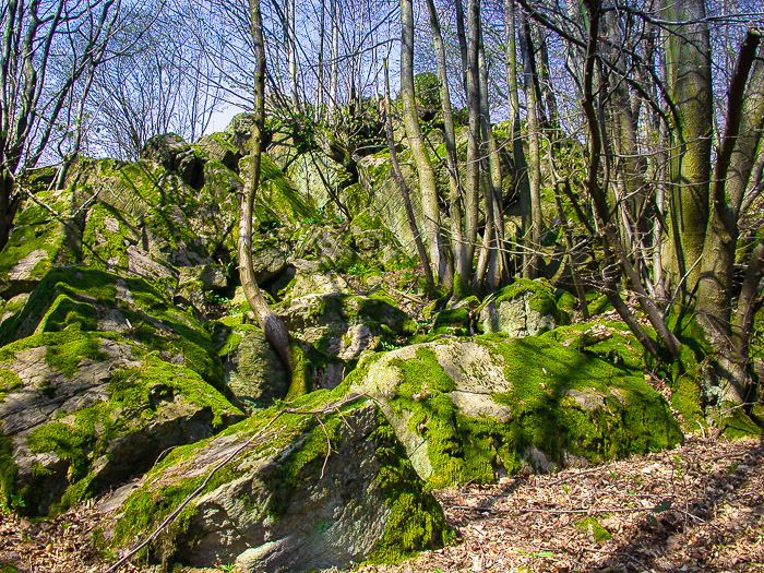 images/bilderleisten/heidenhaeuschen/hei-7.jpg#joomlaImage://local-images/bilderleisten/heidenhaeuschen/hei-7.jpg?width=700&height=525