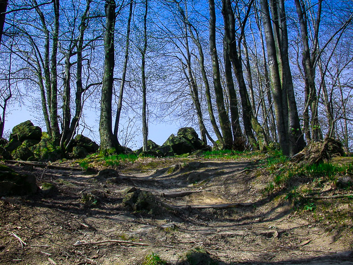 images/bilderleisten/heidenhaeuschen/hei-9.jpg#joomlaImage://local-images/bilderleisten/heidenhaeuschen/hei-9.jpg?width=700&height=525