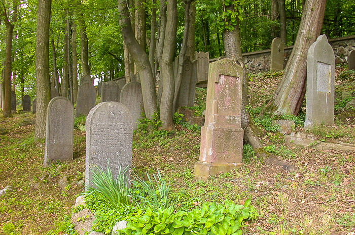 images/bilderleisten/juedischer_friedhof/01%20(10).jpg#joomlaImage://local-images/bilderleisten/juedischer_friedhof/01 (10).jpg?width=700&height=465