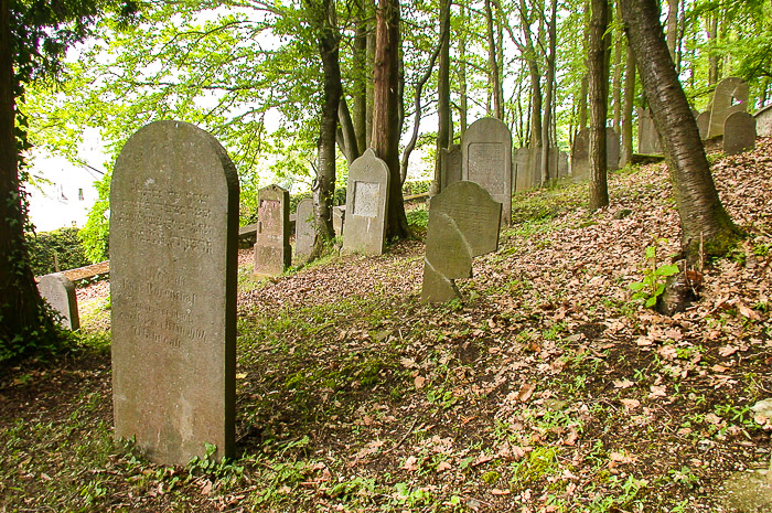 images/bilderleisten/juedischer_friedhof/01%20(11).jpg#joomlaImage://local-images/bilderleisten/juedischer_friedhof/01 (11).jpg?width=700&height=465