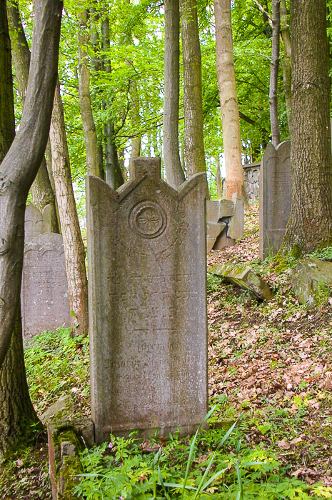 images/bilderleisten/juedischer_friedhof/01%20(12).jpg#joomlaImage://local-images/bilderleisten/juedischer_friedhof/01 (12).jpg?width=465&height=700