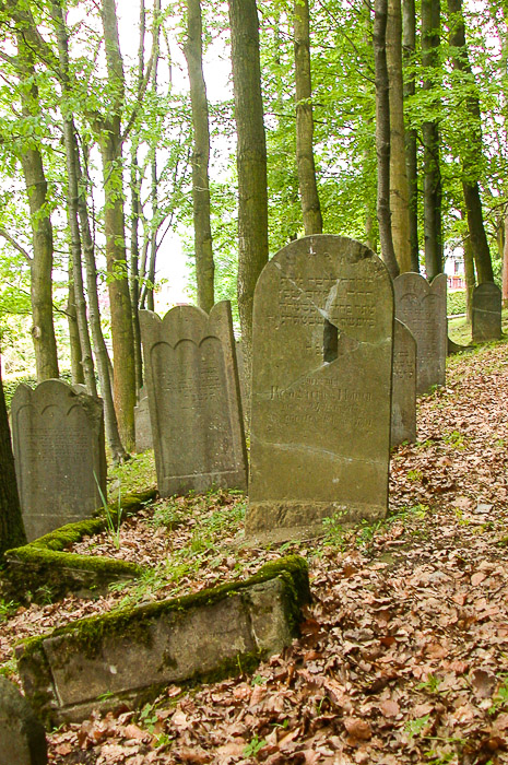 images/bilderleisten/juedischer_friedhof/01%20(13).jpg#joomlaImage://local-images/bilderleisten/juedischer_friedhof/01 (13).jpg?width=465&height=700