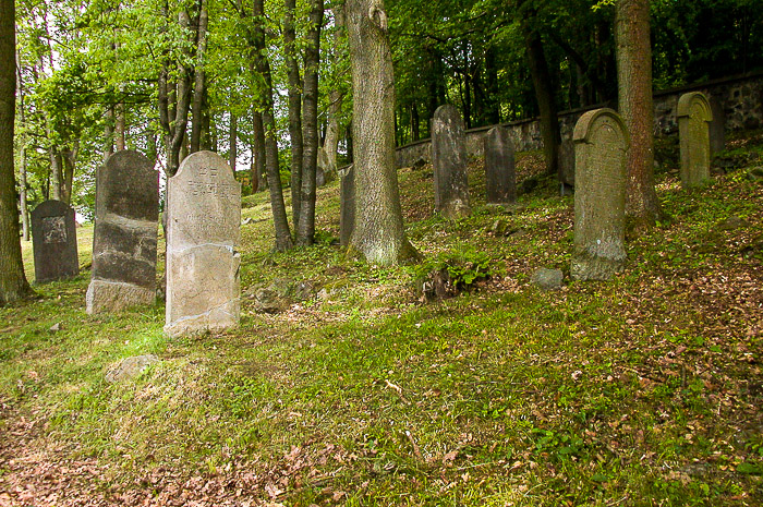 images/bilderleisten/juedischer_friedhof/01%20(15).jpg#joomlaImage://local-images/bilderleisten/juedischer_friedhof/01 (15).jpg?width=700&height=465