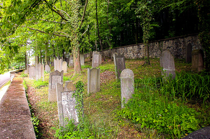 images/bilderleisten/juedischer_friedhof/01%20(18).jpg#joomlaImage://local-images/bilderleisten/juedischer_friedhof/01 (18).jpg?width=700&height=465