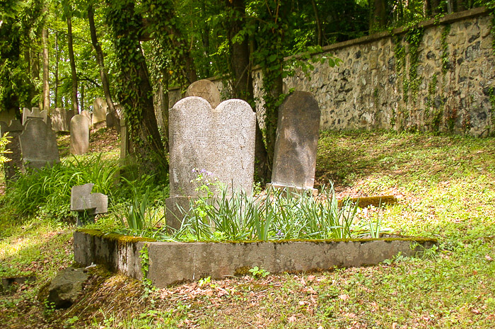 images/bilderleisten/juedischer_friedhof/01%20(3).jpg#joomlaImage://local-images/bilderleisten/juedischer_friedhof/01 (3).jpg?width=700&height=465