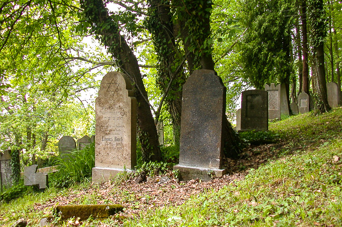 images/bilderleisten/juedischer_friedhof/01%20(4).jpg#joomlaImage://local-images/bilderleisten/juedischer_friedhof/01 (4).jpg?width=700&height=465