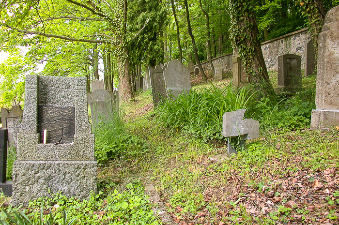 images/bilderleisten/juedischer_friedhof/01%20(5).jpg#joomlaImage://local-images/bilderleisten/juedischer_friedhof/01 (5).jpg?width=700&height=465