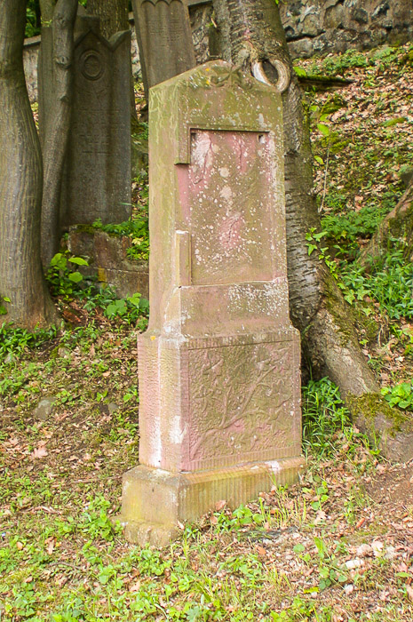 images/bilderleisten/juedischer_friedhof/01%20(9).jpg#joomlaImage://local-images/bilderleisten/juedischer_friedhof/01 (9).jpg?width=465&height=700