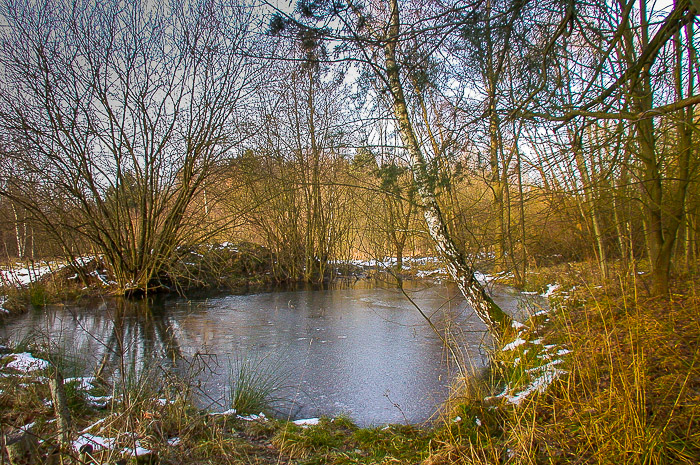 images/bilderleisten/naturschutzgebiet/na-13.jpg#joomlaImage://local-images/bilderleisten/naturschutzgebiet/na-13.jpg?width=700&height=465