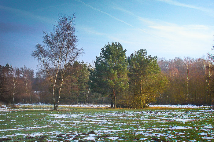 images/bilderleisten/naturschutzgebiet/na-14.jpg#joomlaImage://local-images/bilderleisten/naturschutzgebiet/na-14.jpg?width=700&height=465