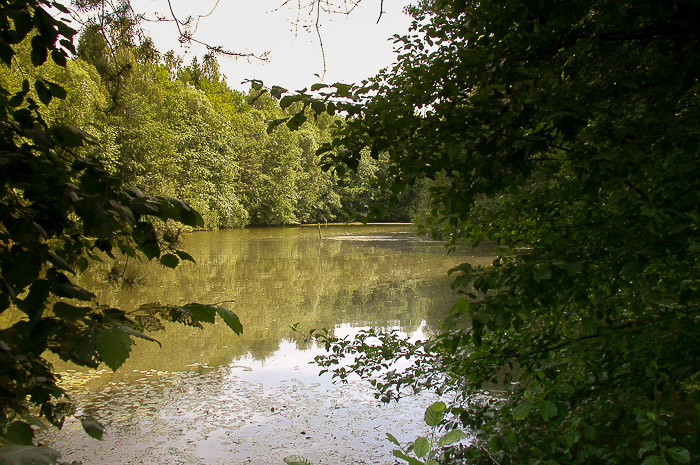 images/bilderleisten/naturschutzgebiet/na-16.jpg#joomlaImage://local-images/bilderleisten/naturschutzgebiet/na-16.jpg?width=700&height=465