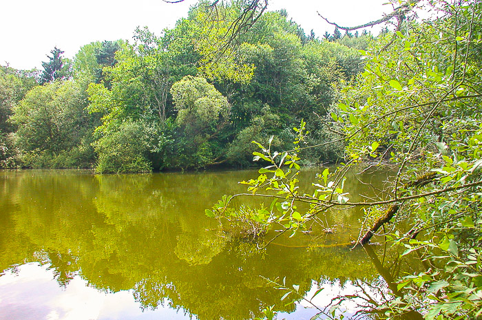 images/bilderleisten/naturschutzgebiet/na-19.jpg#joomlaImage://local-images/bilderleisten/naturschutzgebiet/na-19.jpg?width=700&height=465