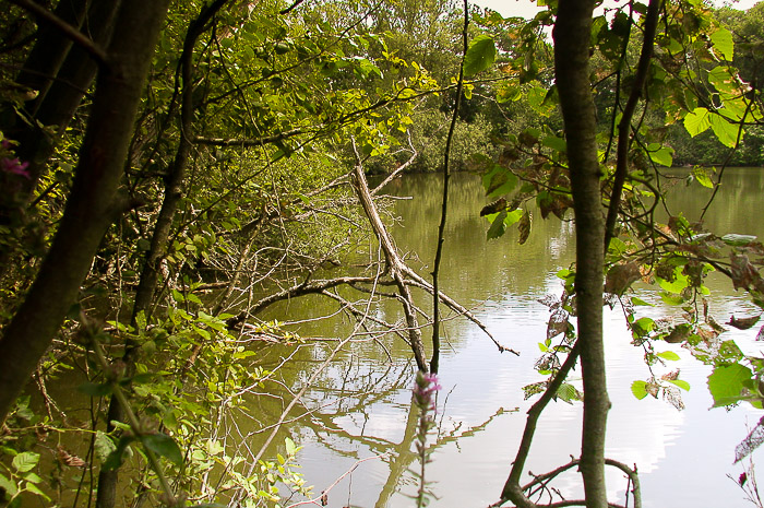 images/bilderleisten/naturschutzgebiet/na-20.jpg#joomlaImage://local-images/bilderleisten/naturschutzgebiet/na-20.jpg?width=700&height=465