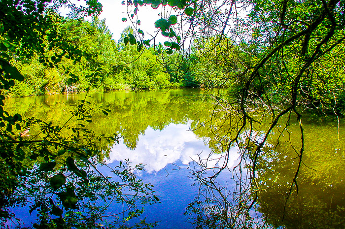 images/bilderleisten/naturschutzgebiet/na-24.jpg#joomlaImage://local-images/bilderleisten/naturschutzgebiet/na-24.jpg?width=700&height=465