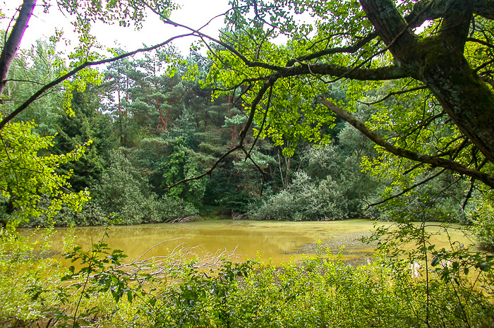 images/bilderleisten/naturschutzgebiet/na-25.jpg#joomlaImage://local-images/bilderleisten/naturschutzgebiet/na-25.jpg?width=700&height=465