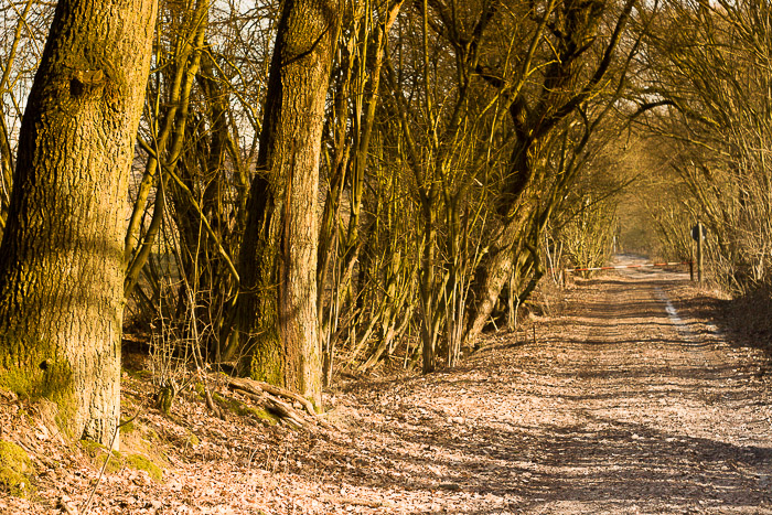 images/bilderleisten/naturschutzgebiet/na-29.jpg#joomlaImage://local-images/bilderleisten/naturschutzgebiet/na-29.jpg?width=700&height=467