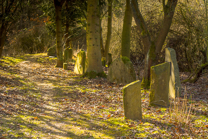 images/bilderleisten/naturschutzgebiet/na-30.jpg#joomlaImage://local-images/bilderleisten/naturschutzgebiet/na-30.jpg?width=700&height=467