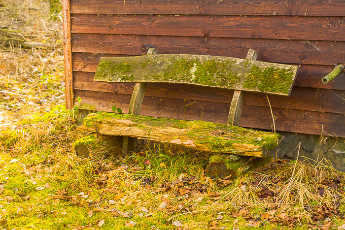 images/bilderleisten/naturschutzgebiet/na-31.jpg#joomlaImage://local-images/bilderleisten/naturschutzgebiet/na-31.jpg?width=700&height=467