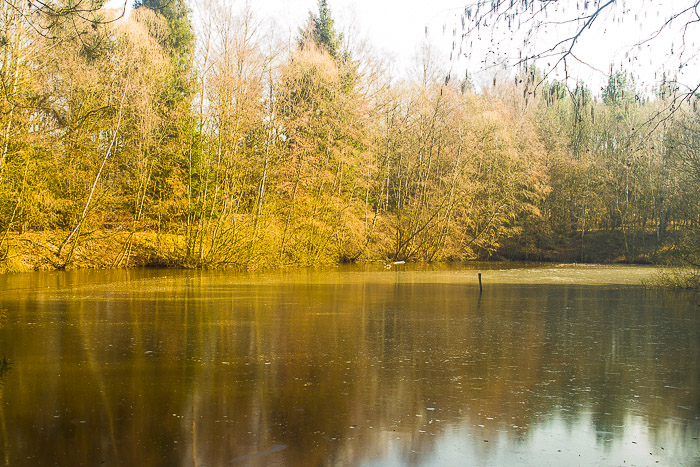 images/bilderleisten/naturschutzgebiet/na-32.jpg#joomlaImage://local-images/bilderleisten/naturschutzgebiet/na-32.jpg?width=700&height=467