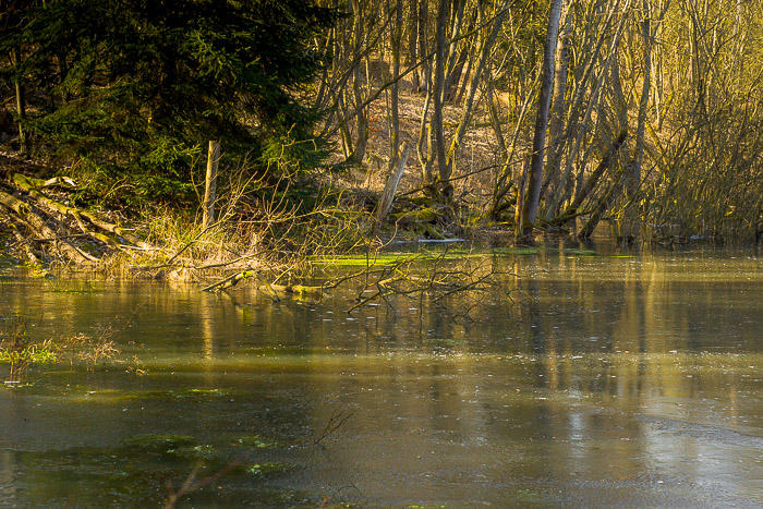 images/bilderleisten/naturschutzgebiet/na-34.jpg#joomlaImage://local-images/bilderleisten/naturschutzgebiet/na-34.jpg?width=700&height=467