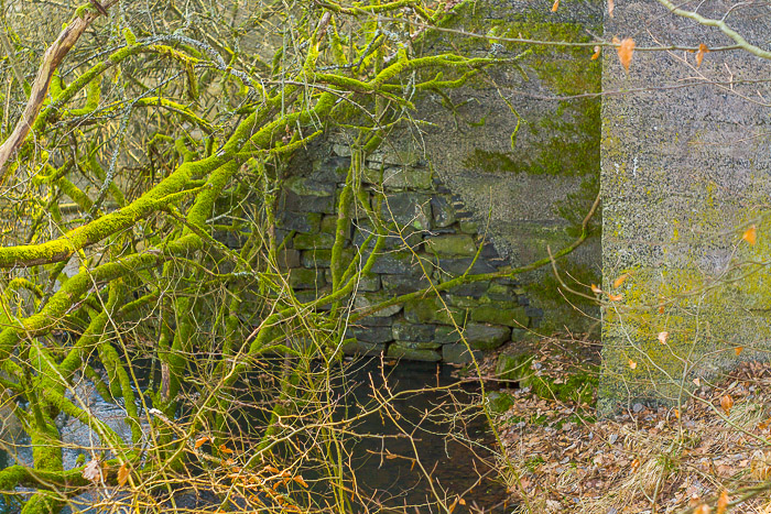 images/bilderleisten/naturschutzgebiet/na-42.jpg#joomlaImage://local-images/bilderleisten/naturschutzgebiet/na-42.jpg?width=700&height=467