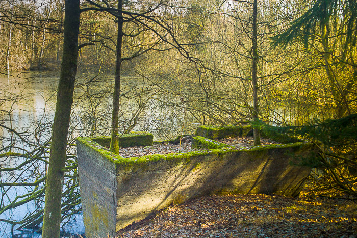 images/bilderleisten/naturschutzgebiet/na-44.jpg#joomlaImage://local-images/bilderleisten/naturschutzgebiet/na-44.jpg?width=700&height=467