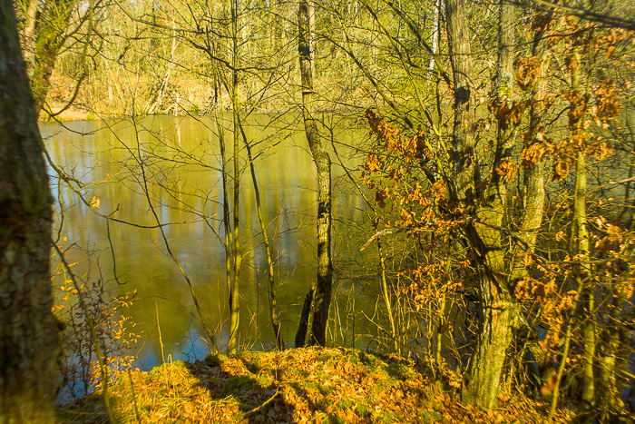 images/bilderleisten/naturschutzgebiet/na-45.jpg#joomlaImage://local-images/bilderleisten/naturschutzgebiet/na-45.jpg?width=700&height=467