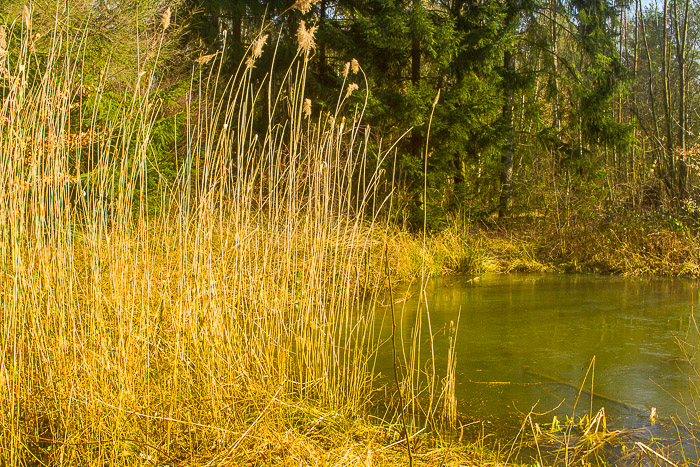 images/bilderleisten/naturschutzgebiet/na-50.jpg#joomlaImage://local-images/bilderleisten/naturschutzgebiet/na-50.jpg?width=700&height=467