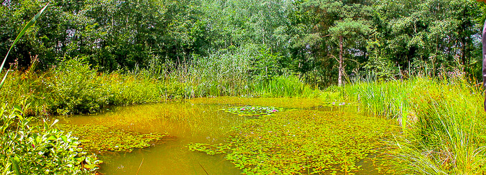 images/bilderleisten/naturschutzgebiet/na.jpg#joomlaImage://local-images/bilderleisten/naturschutzgebiet/na.jpg?width=700&height=253